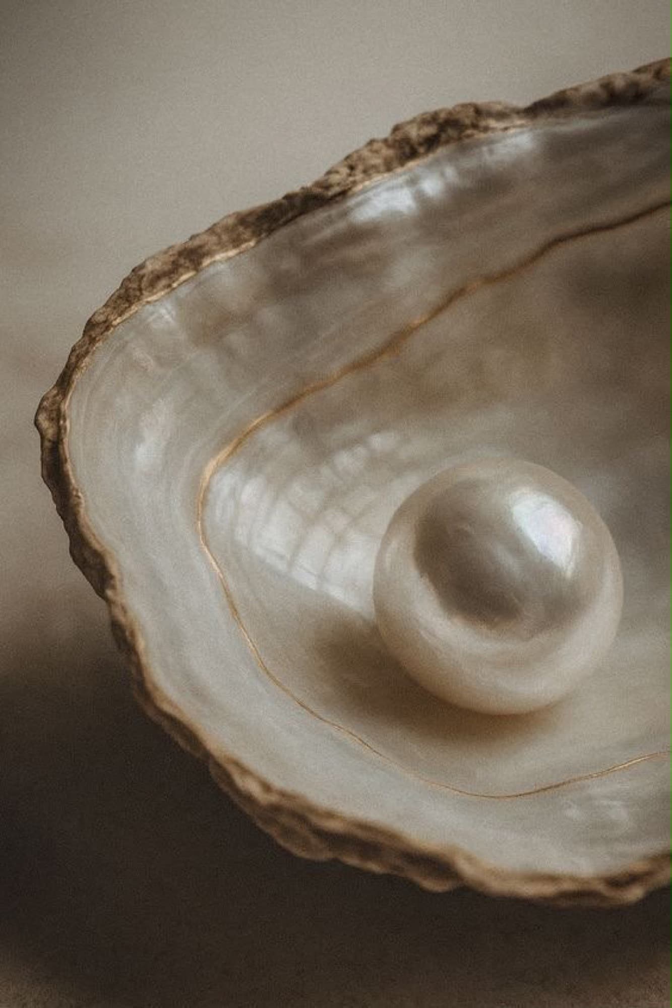 Uma pérola pousada dentro de uma concha aberta.